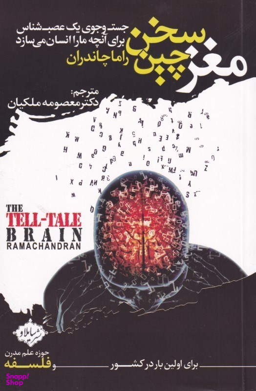 مغزسخنچین