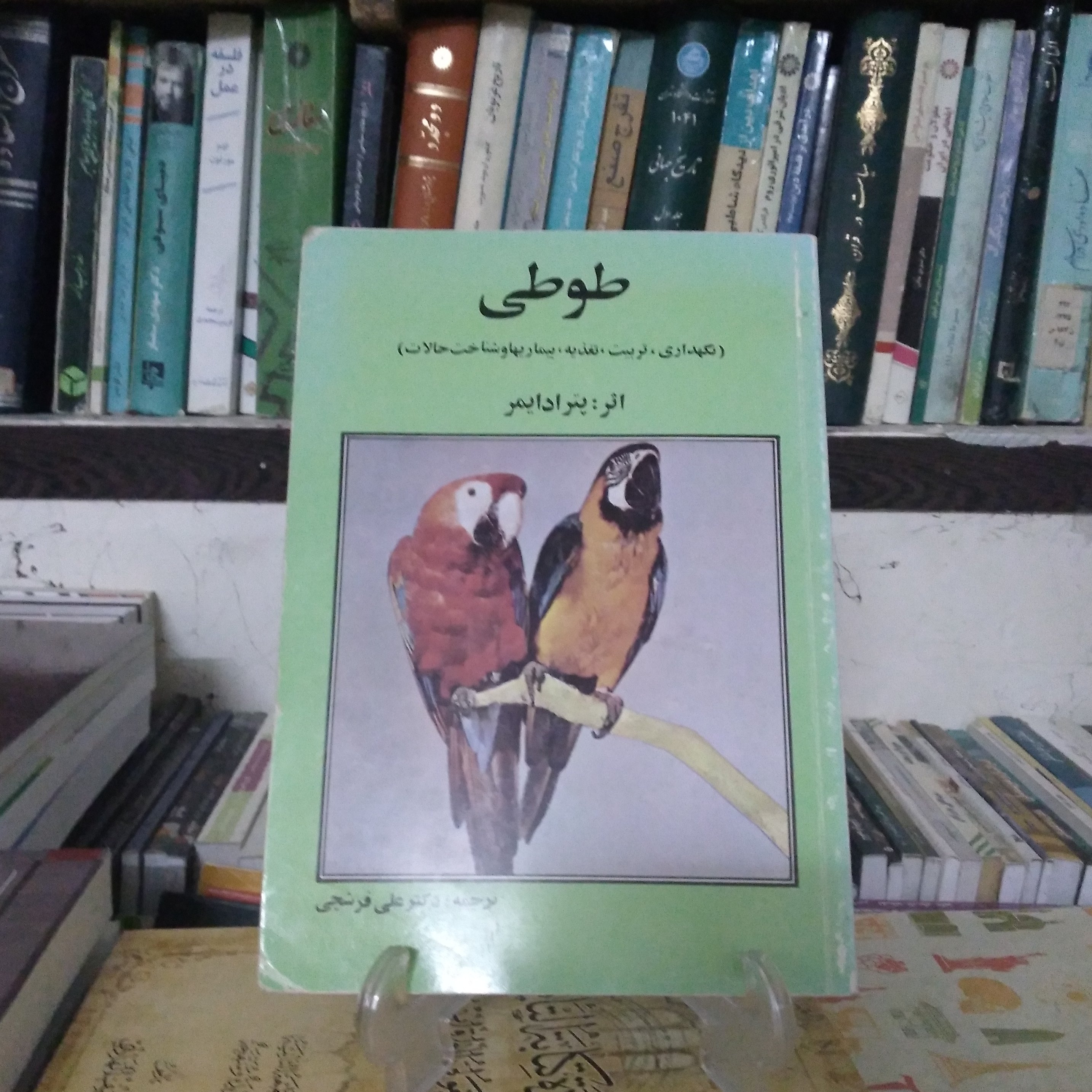 طوطی (نگهداری، تربیت، تغذیه، بیماریها و شناخت حالات)