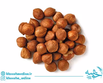 مغز فندق خام ایرانی