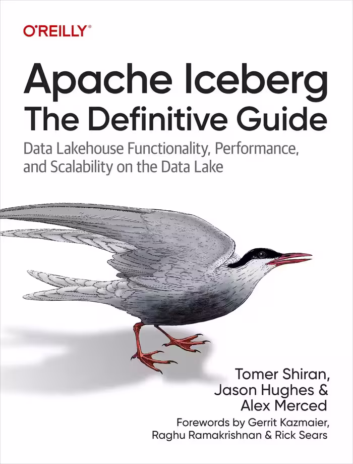 کتاب Apache Iceberg: The Definitive Guide