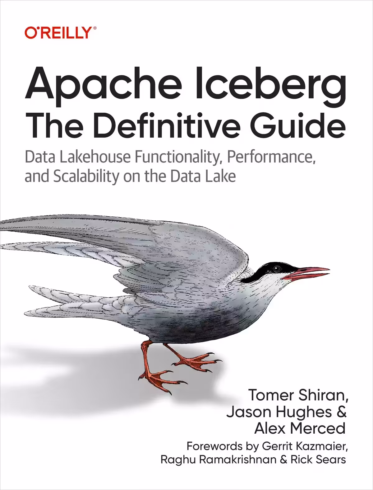 کتاب Apache Iceberg: The Definitive Guide