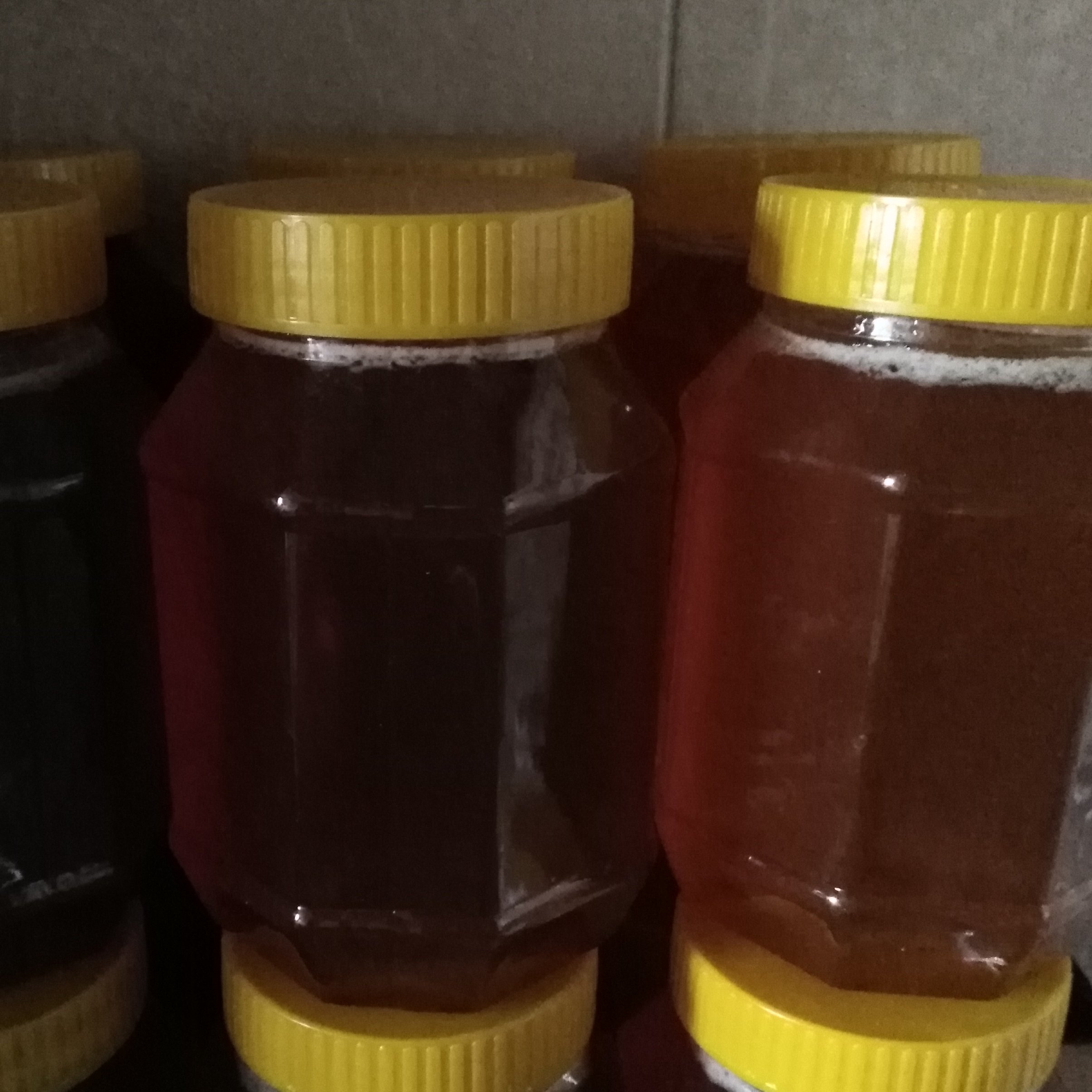 عسل طبیعی ایلام