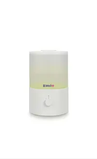 بخور سرد بی ول مدل B.Well PRO-10