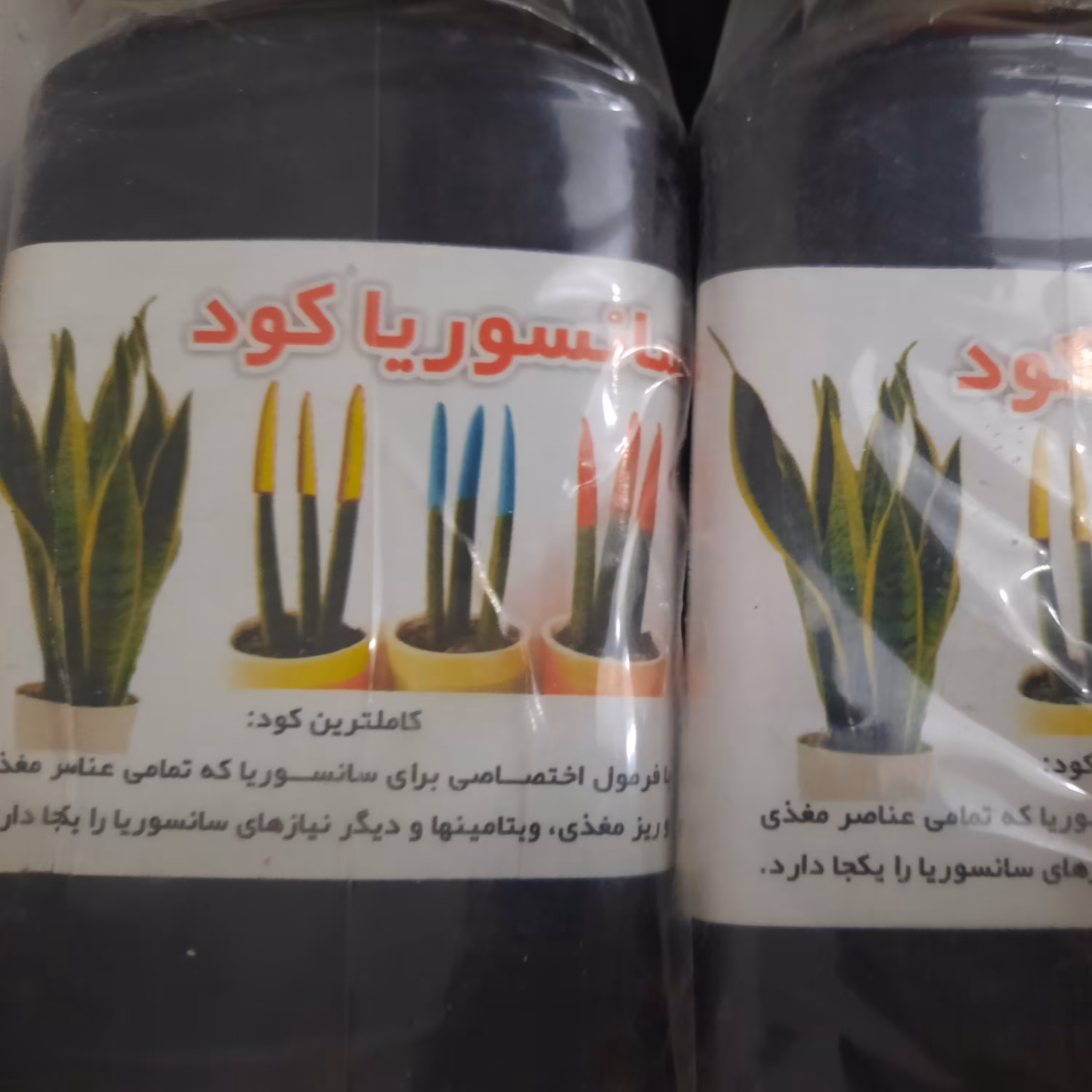 کود سانسوریا