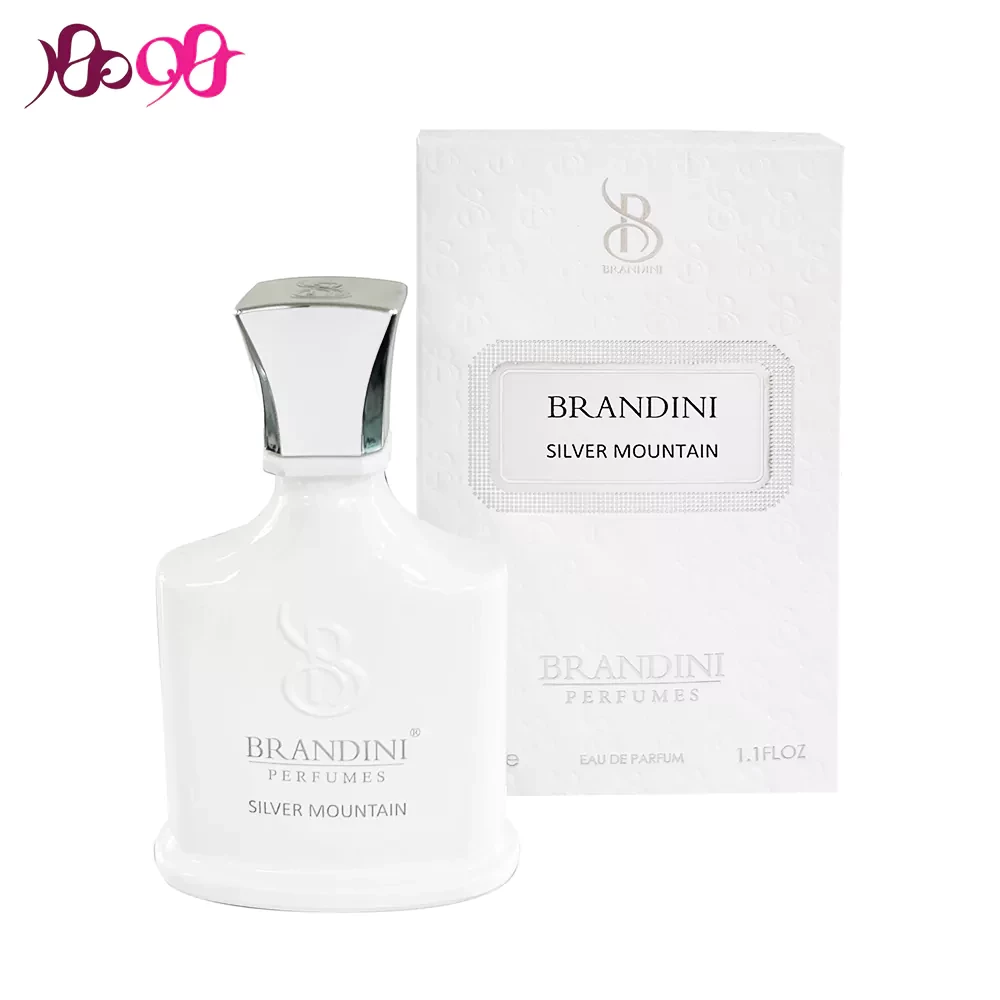 عطر ادکلن مردانه برندینی مدل Silver Mountain