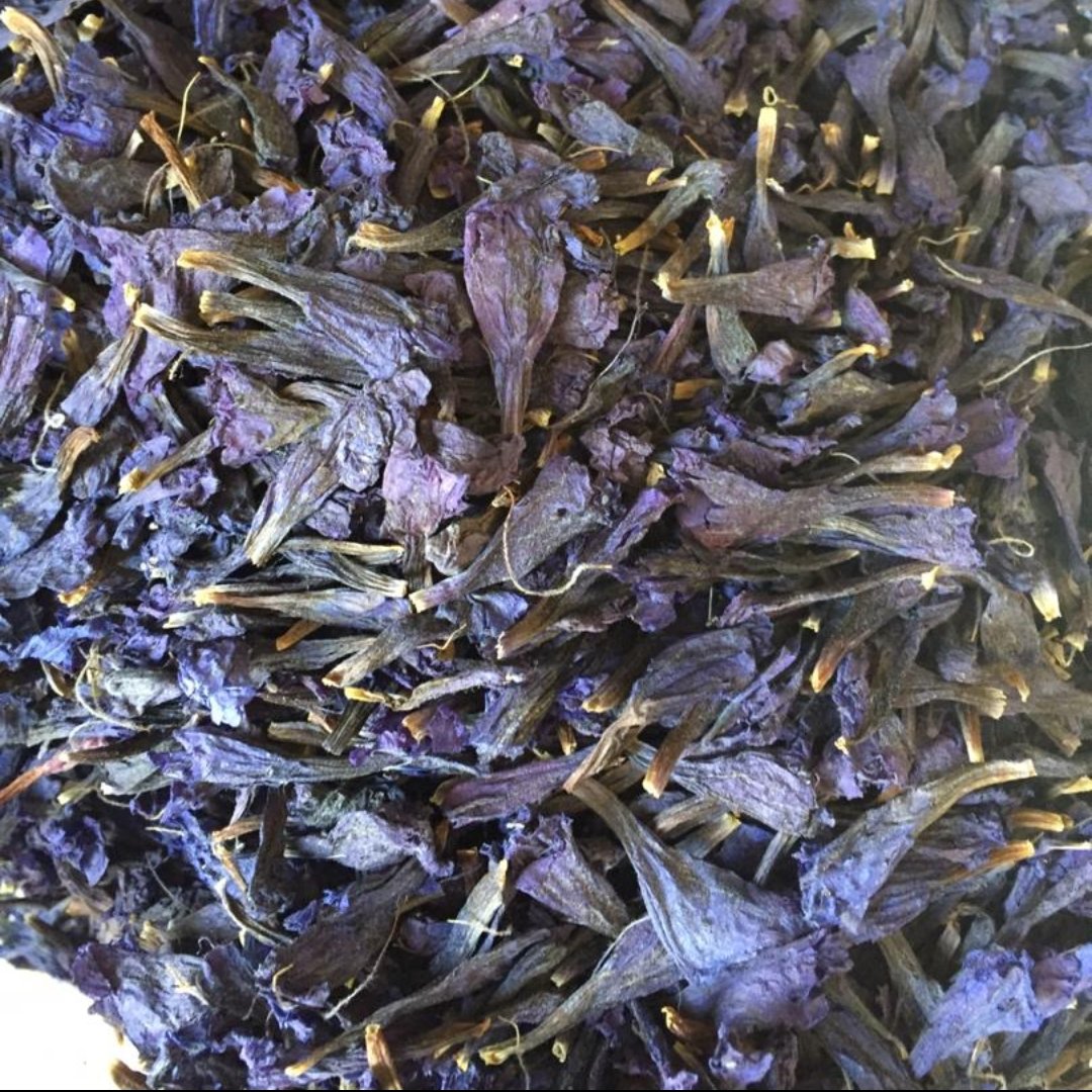 گل گاوزبان قزوین