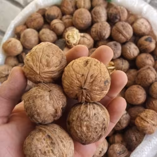 گردوی کاغذی قزوین  (900گرم)