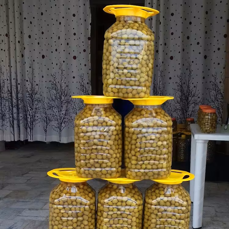 زیتون با هسته  سوپر  ویژه (7 کیلو زیتون خالص دارد)