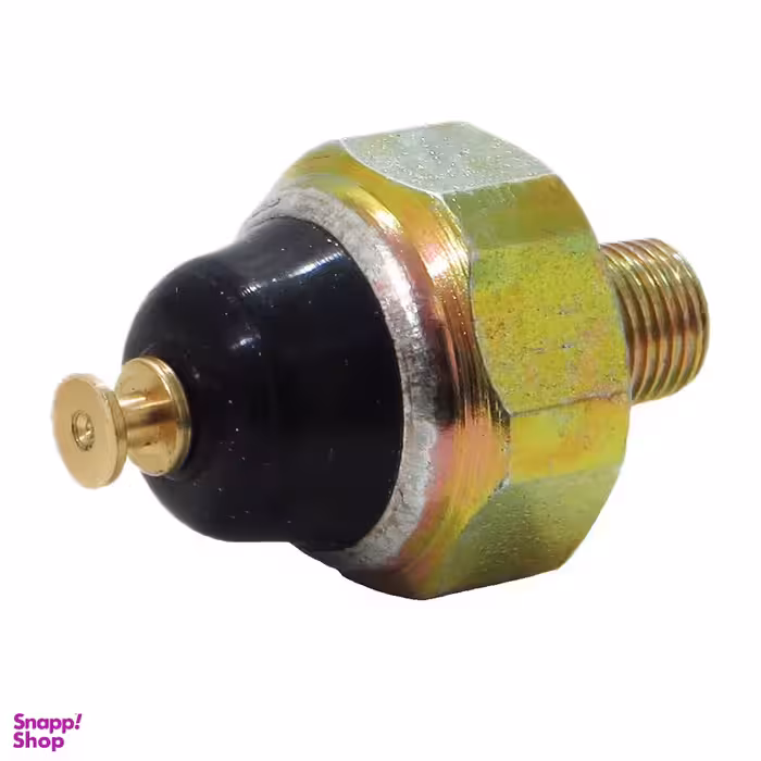 فشنگی روغن خودرو چیکال مدل K-376 مناسب برای پراید