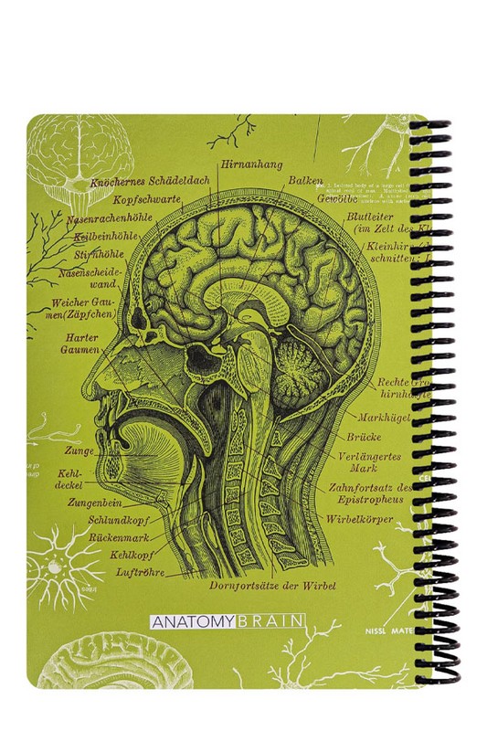 دفتر وزیری100 برگ Scientist Brain سبز
