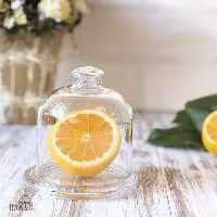 ظرف کره خوری بیسیک پاشاباغچه کد 98397