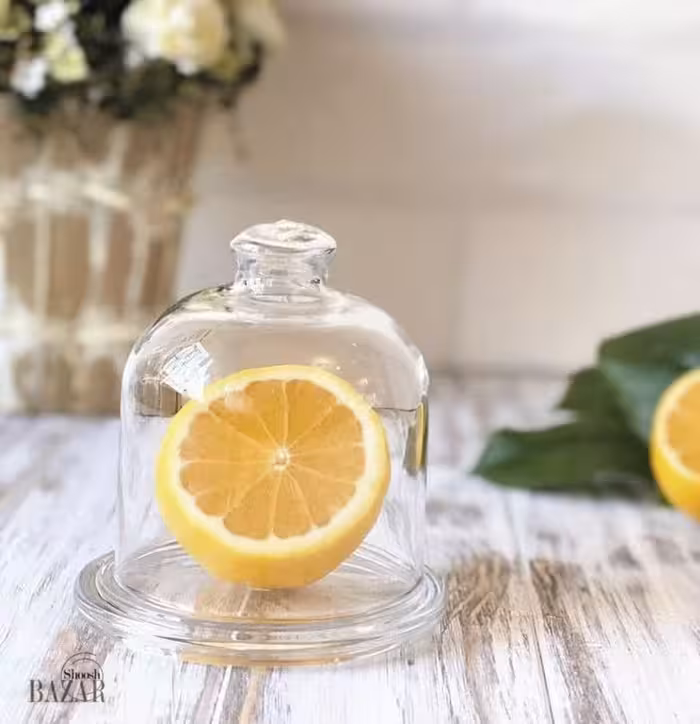 ظرف کره خوری بیسیک پاشاباغچه کد 98397