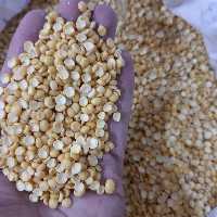 لپه تبریزی کردانی درجه یک و ریز  (یک کیلو گرمی)