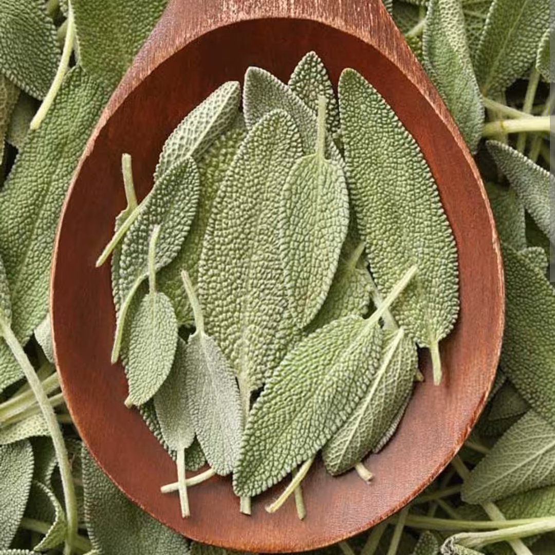 مریم گلی ممتاز عطاری کوچه باغ 50 گرم