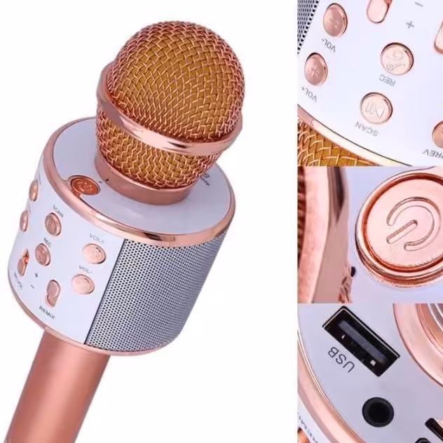 میکروفون اسپیکر مدل WS-858