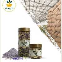گیاه زوفا با کیفیت عالی، بار امسالی و تازه(1کیلوگرم)