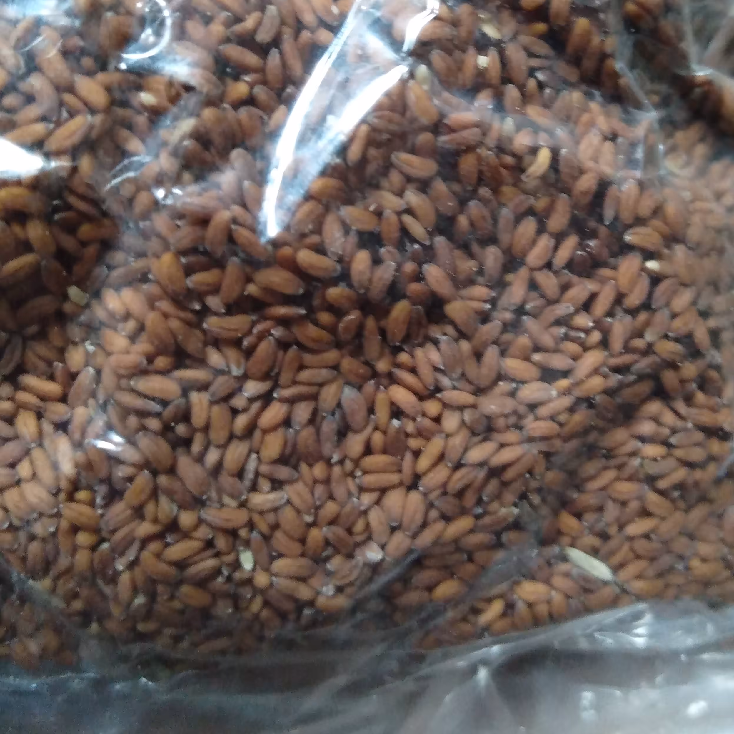 تخم شاهی 75 گرمی