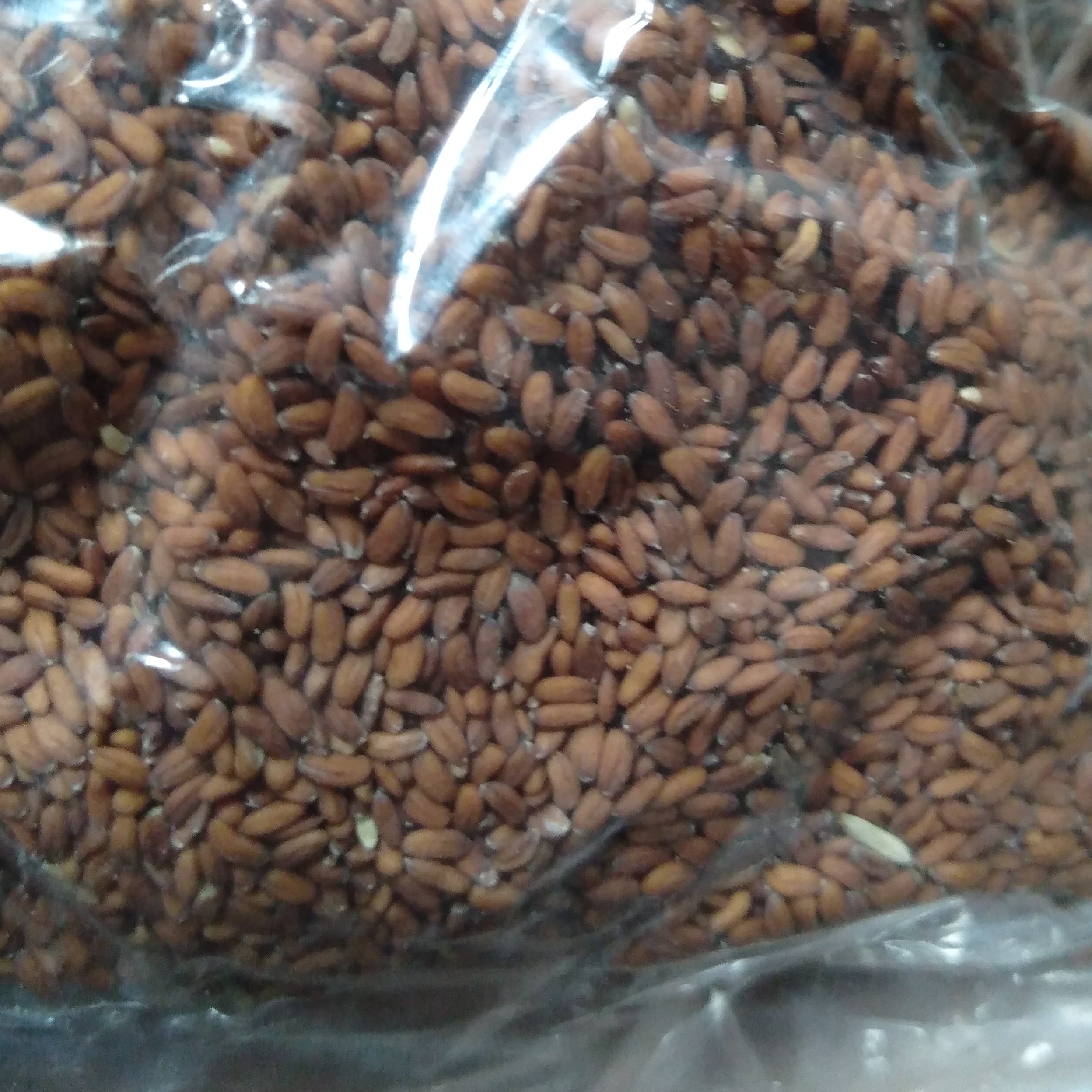 تخم شاهی 75 گرمی