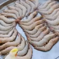 میگو عمده پانزده کیلویی درشت معروف میناب