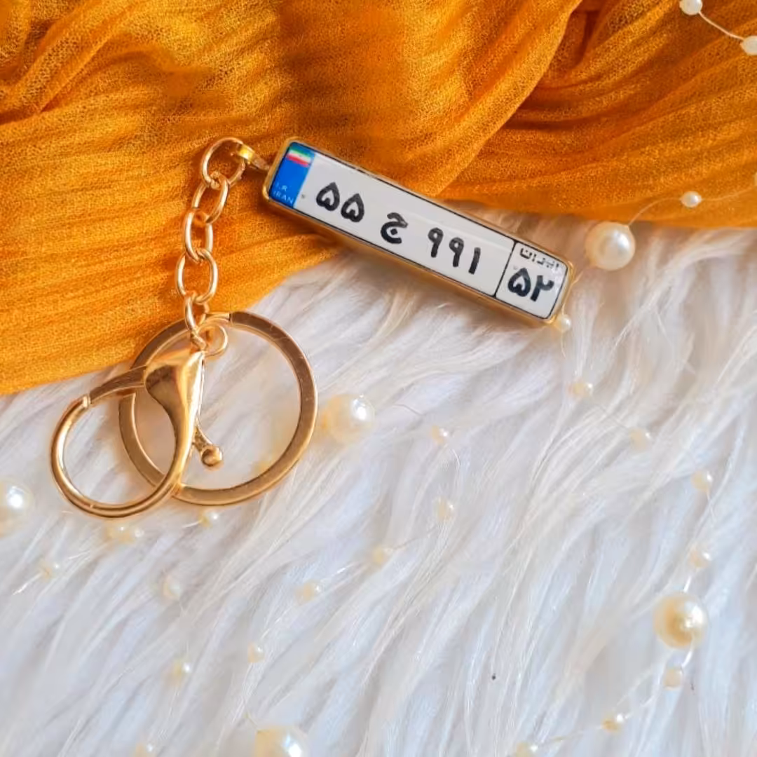 جاسویچی دوطرفه پلاک خودرو