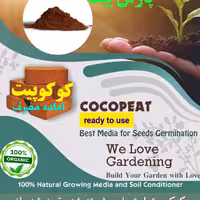  کوکوپیت،محصول کشور سریلانکا 