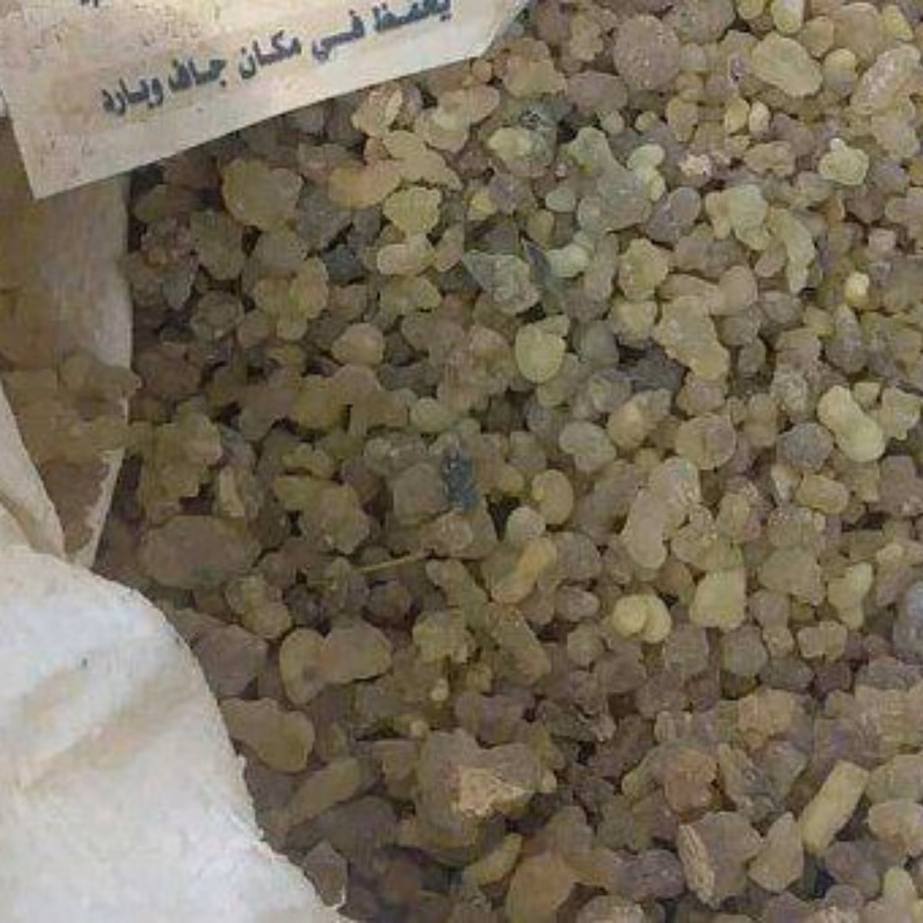 صمغ کندر سودانی خوراکی درجه یک 100 گرمی  بدون خاک 