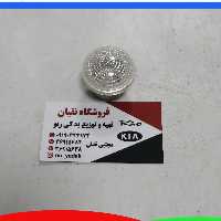طلق راهنما رو گلگیر ریو یک عدد