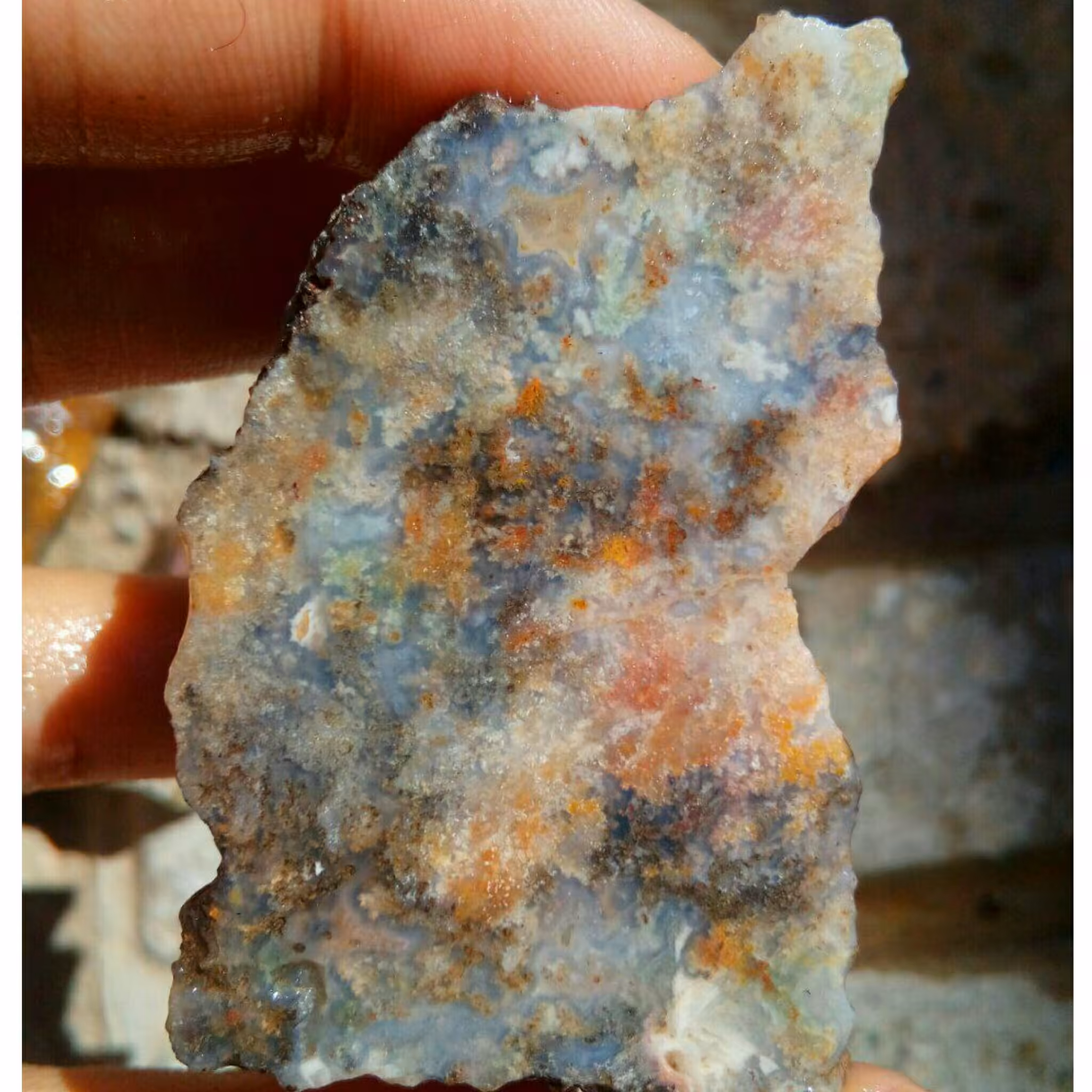 راف محشر شجر هفت رنگ مختص تراش نگین های بسیار زیبا و کلکسیون