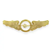وینگ سینه CAO Wings
