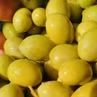 زیتون کنسروی امساله طارم سایز مخلوط (ممتاز، ویژه،سوپر ویژه) ، خوشمزه و عالی و چرب زیتون اصل طارم کیفیت عالی 7کیلویی