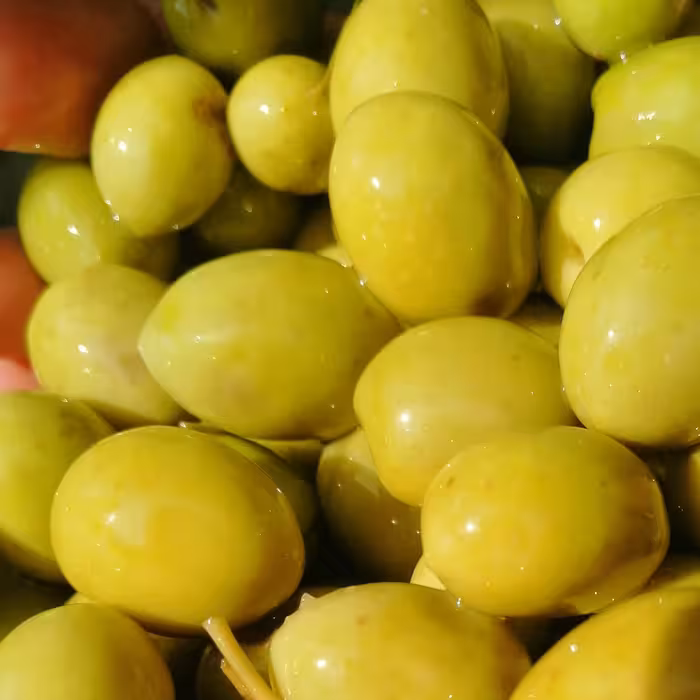 زیتون کنسروی امساله طارم سایز مخلوط (ممتاز، ویژه،سوپر ویژه) ، خوشمزه و عالی و چرب زیتون اصل طارم کیفیت عالی 7کیلویی