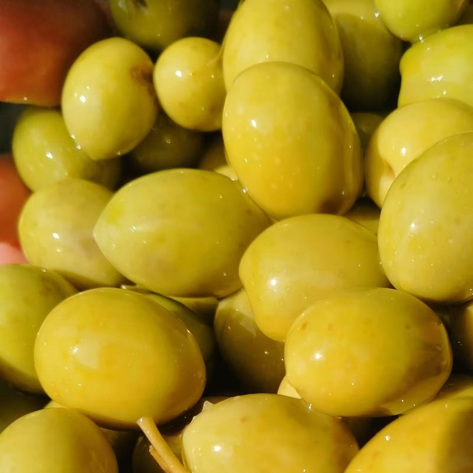 زیتون کنسروی امساله طارم سایز مخلوط (ممتاز، ویژه،سوپر ویژه) ، خوشمزه و عالی و چرب زیتون اصل طارم کیفیت عالی 7کیلویی