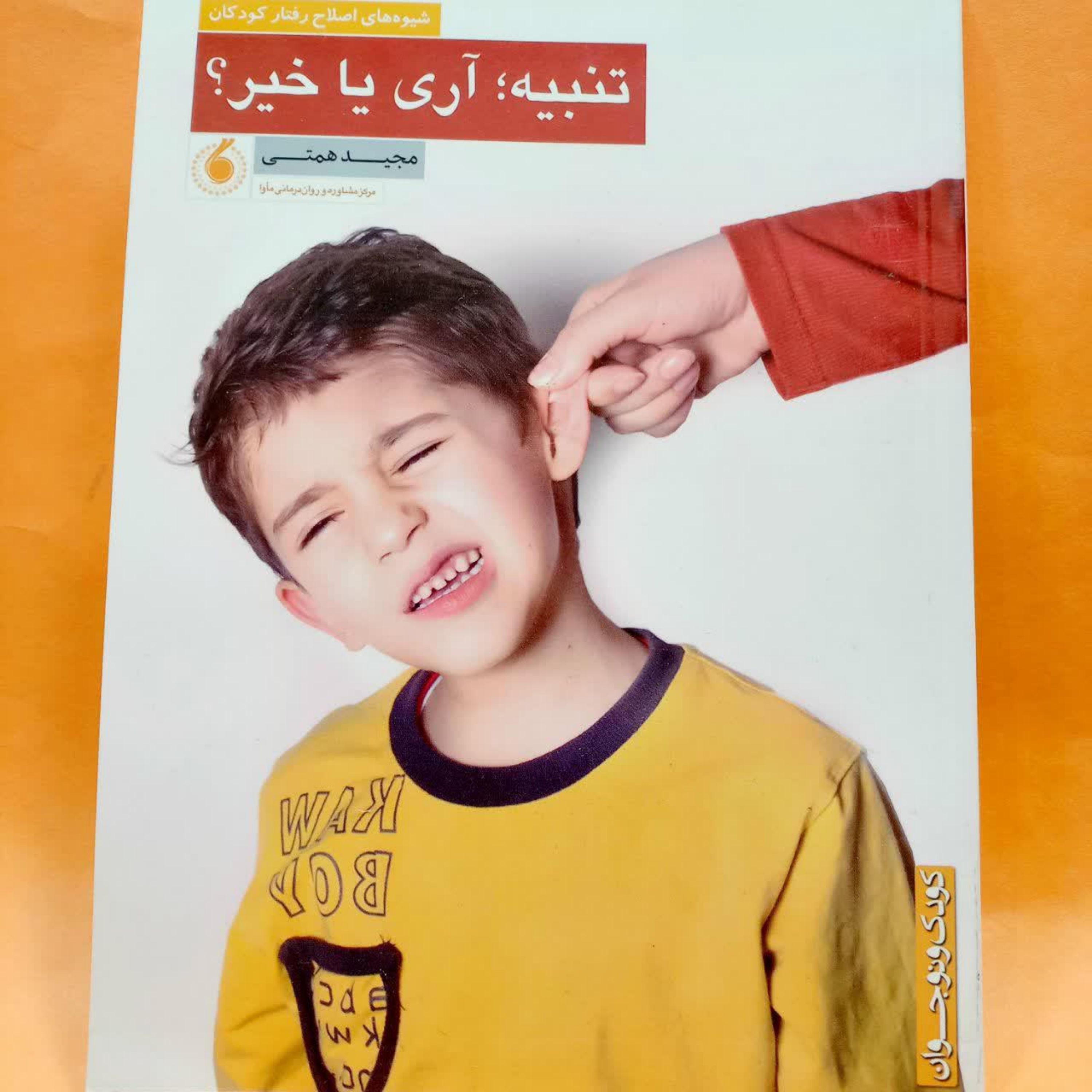 کتاب تنبیه آری یا خیر
