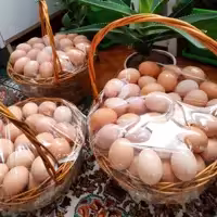 تخم مرغ محلی