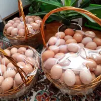 تخم مرغ محلی