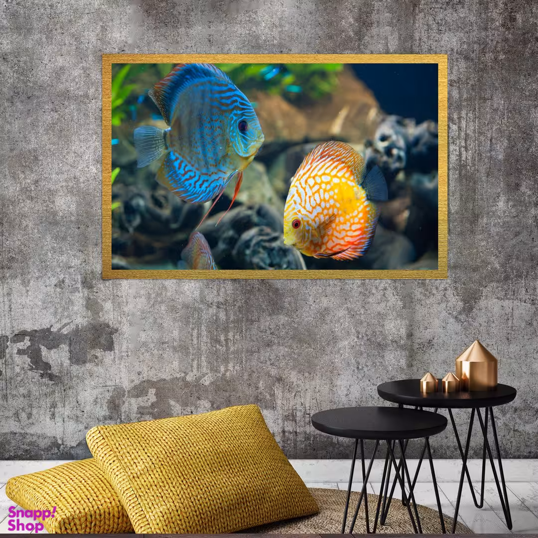 تابلو بکلیت طرح دریا و ماهی  مدل قاب شاسی T-S7690