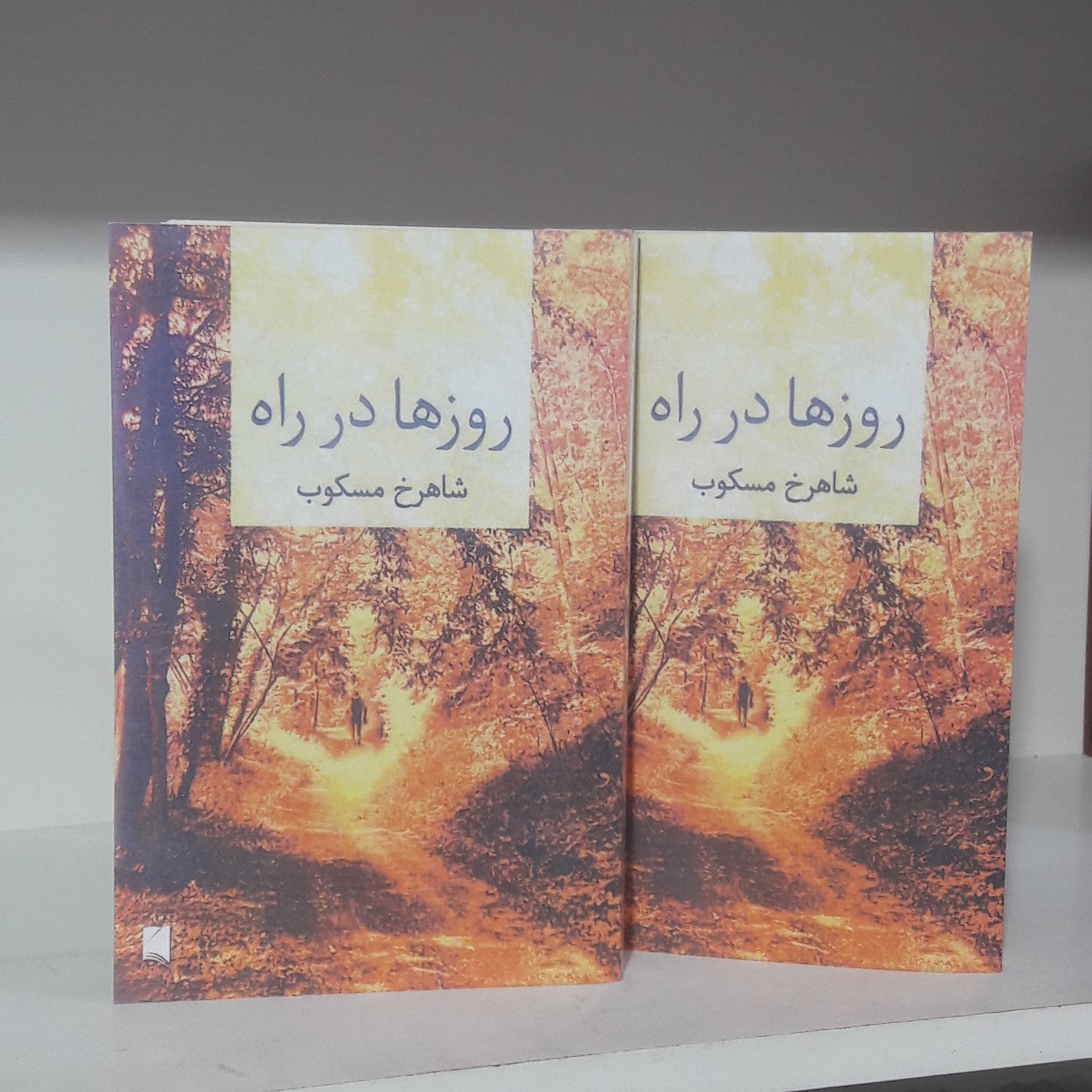 یک پک کتاب روزها در راه نوشته شاهرخ مسکوب