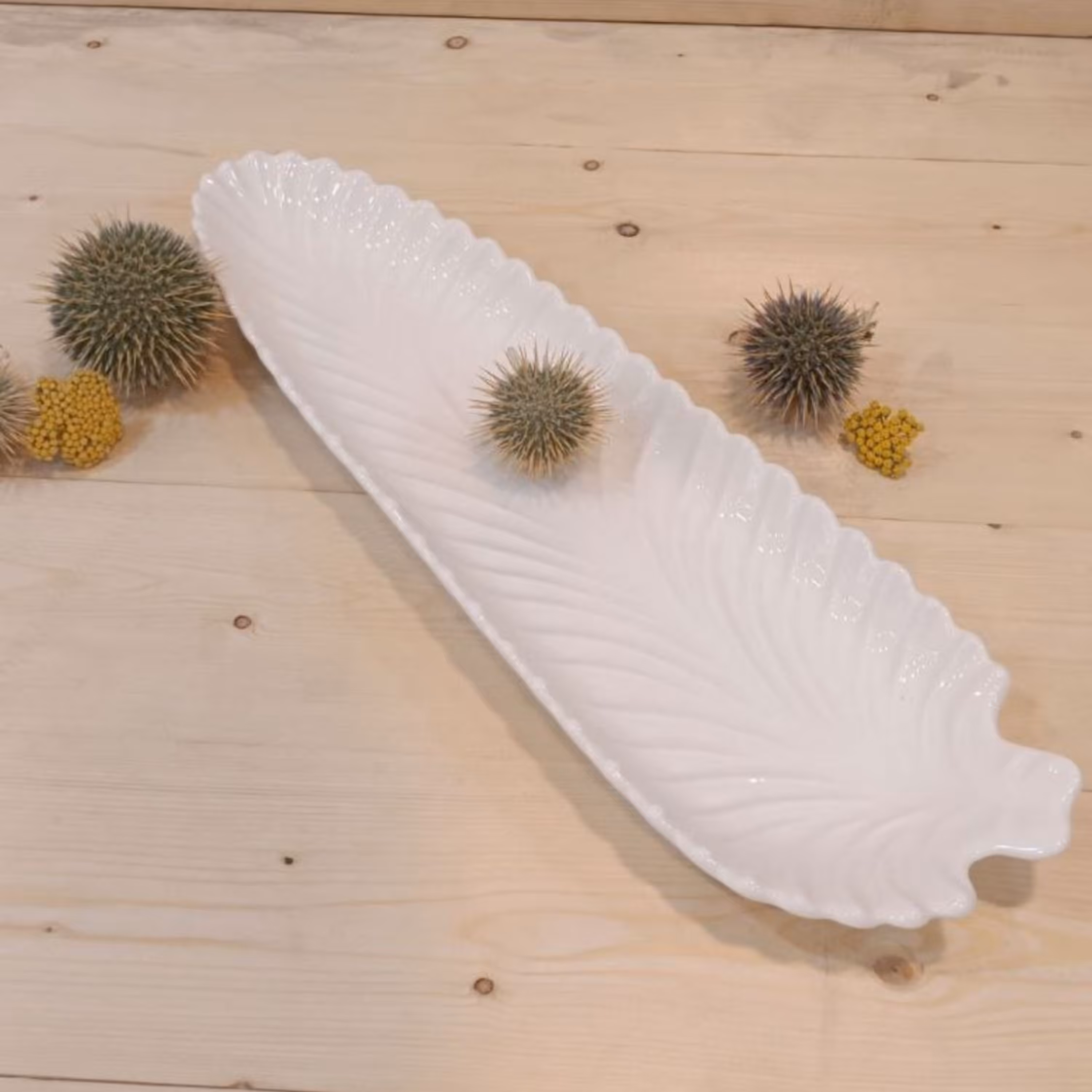 رولت خوری برگ چینی سفید (12عددعمده)