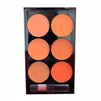 پلت رژگونه 6 رنگ مدل بیوتی لوک