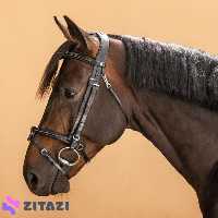 کله گیر چرم طبیعی فوگانزا Fouganza مدل 580
