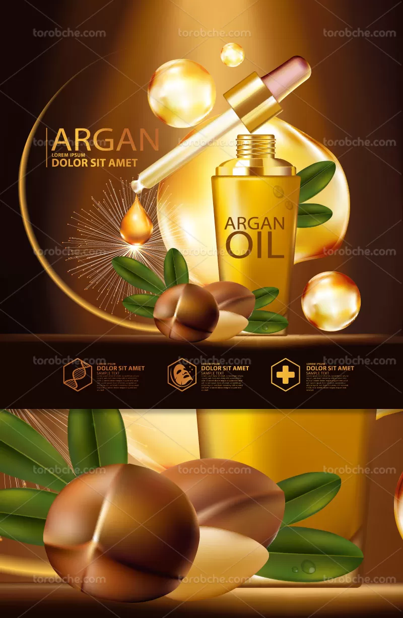 وکتور روغن آرگان تبلیغاتی | گرافیک با طعم تربچه