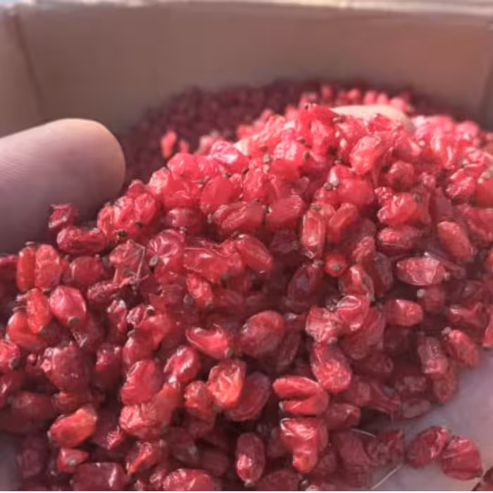 زرشک دانه اناری اعلا پاک و تمیز شده درجه یک