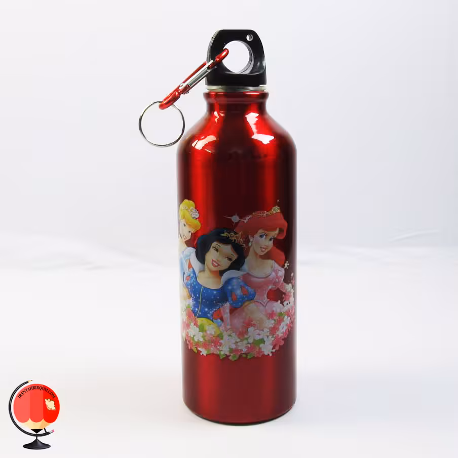 قمقمه کودک فلزی نیم لیتری طرح سیندرلا