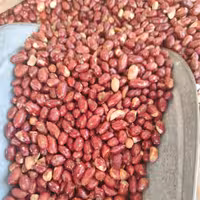 بادام زمینی هندی طعم لیموئی هشتصد گرمی