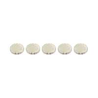 آهن ربا مدل نئودیمیوم دیسک D10x2mm بسته 5 عددی مگامگنت 