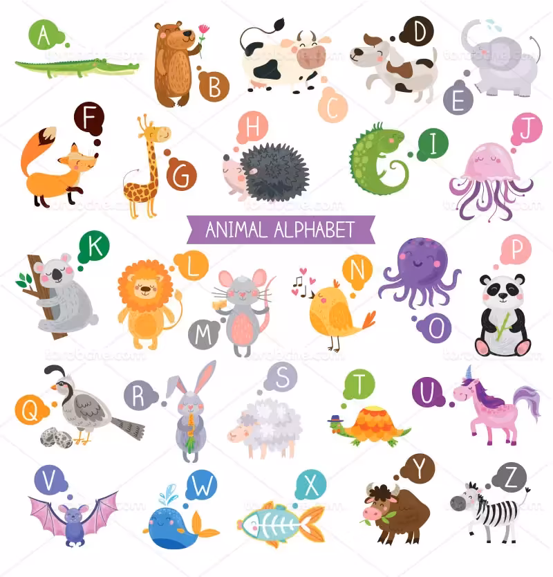 وکتور الفبای حیوانات | گرافیک با طعم تربچه