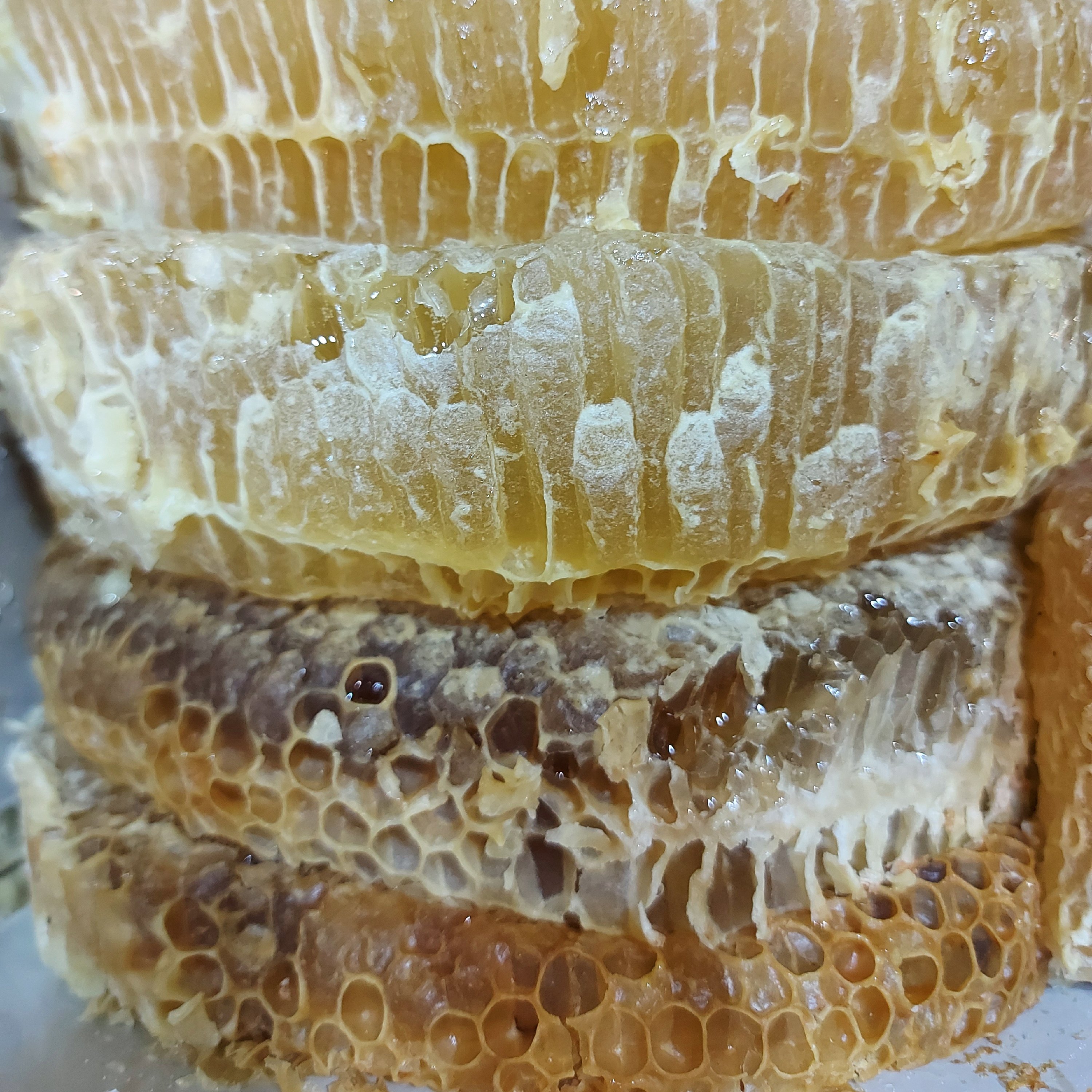 عسل دارویی سبدی ساکارز 0.5درصد به شرط آزمایشگاهی 