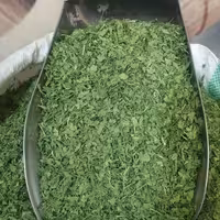 برگ جعفری خشک 200 گرم 