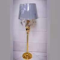 آباژور کنار سالنی طوسی