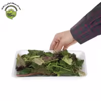 میکس سبزیجات سالاد ارگانیک رضوانی
